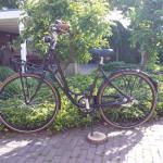 Meisjes fiets.